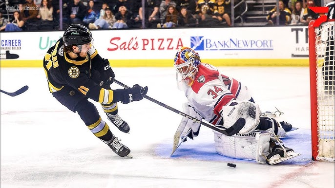 Charlotte Checkers vs Providence Bruins